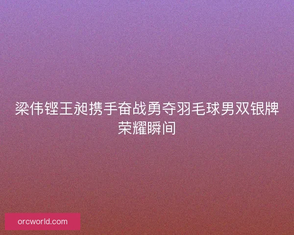 梁伟铿王昶携手奋战勇夺羽毛球男双银牌荣耀瞬间